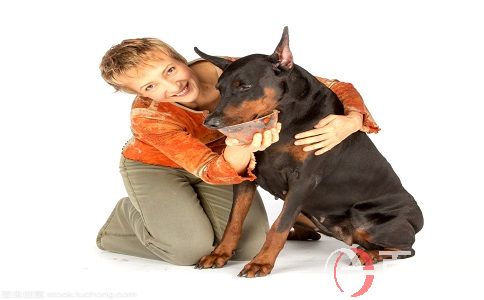 上班在家兼職:上門喂養寵物,單次入百元! 第2張 上班在家兼職:上門喂養寵物,單次入百元! 第2張