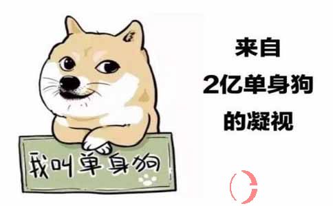 單身市場蘊含著哪些創業項目?想掙錢的趕緊來看看 第1張 單身市場蘊含著哪些創業項目?想掙錢的趕緊來看看 第1張